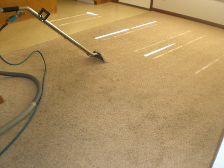 Why Spring Is the Best Time to Deep Clean Your Carpets in Pensacola